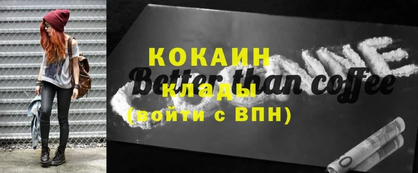 крисы Инта