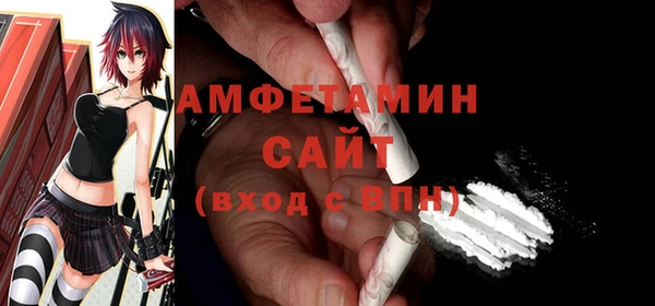 твердый Инсар