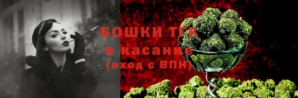 спиды Каменногорск