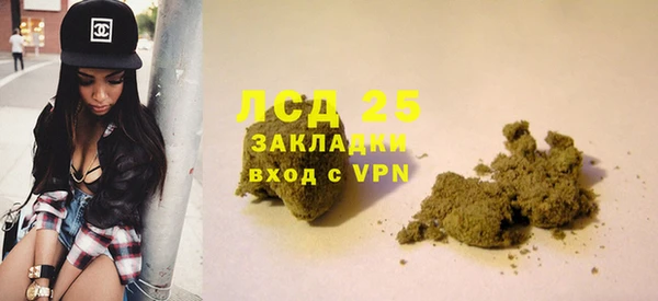 крисы Инта