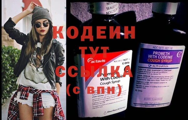 крисы Инта