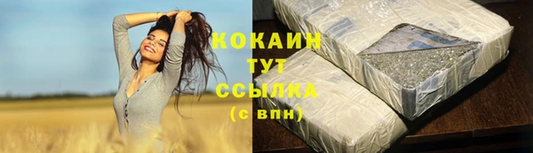 твердый Инсар