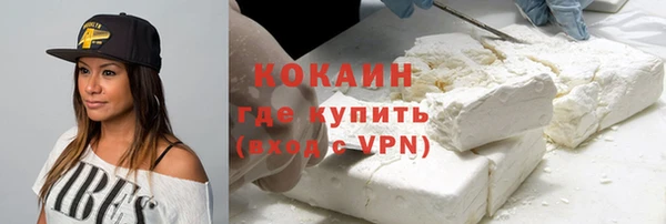 твердый Инсар
