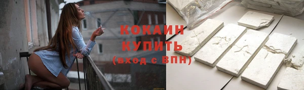 крисы Инта