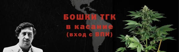 крисы Инта