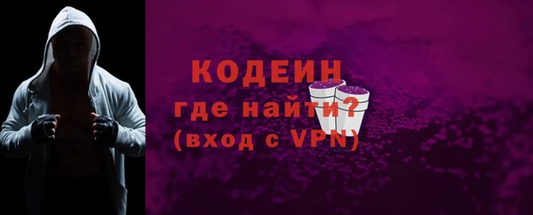 крисы Инта