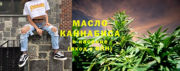 крисы Инта