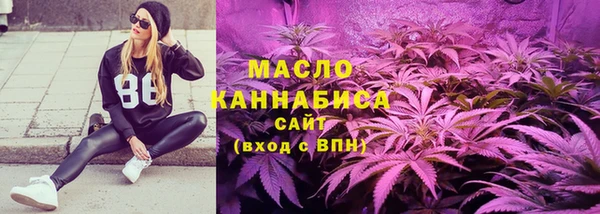 крисы Инта