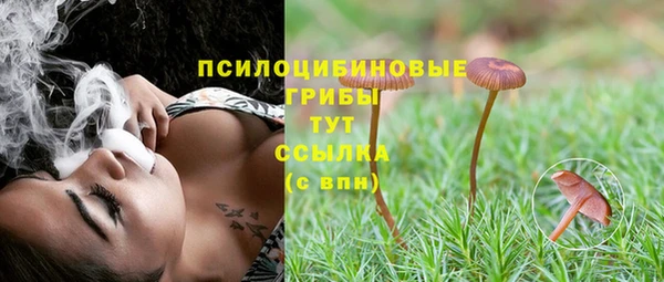 крисы Инта