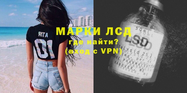 твердый Инсар