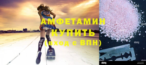 твердый Инсар