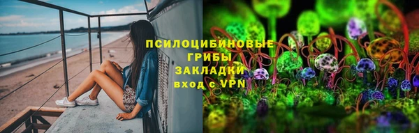 твердый Инсар