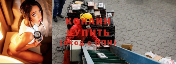 твердый Инсар