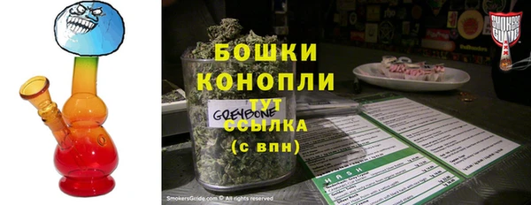 крисы Инта