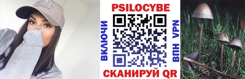 Галлюциногенные грибы Psilocybine cubensis  Щёлково 